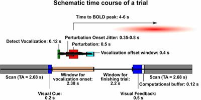 Neural Correlates of Vocal Pitch Compensation in Individuals Who Stutter